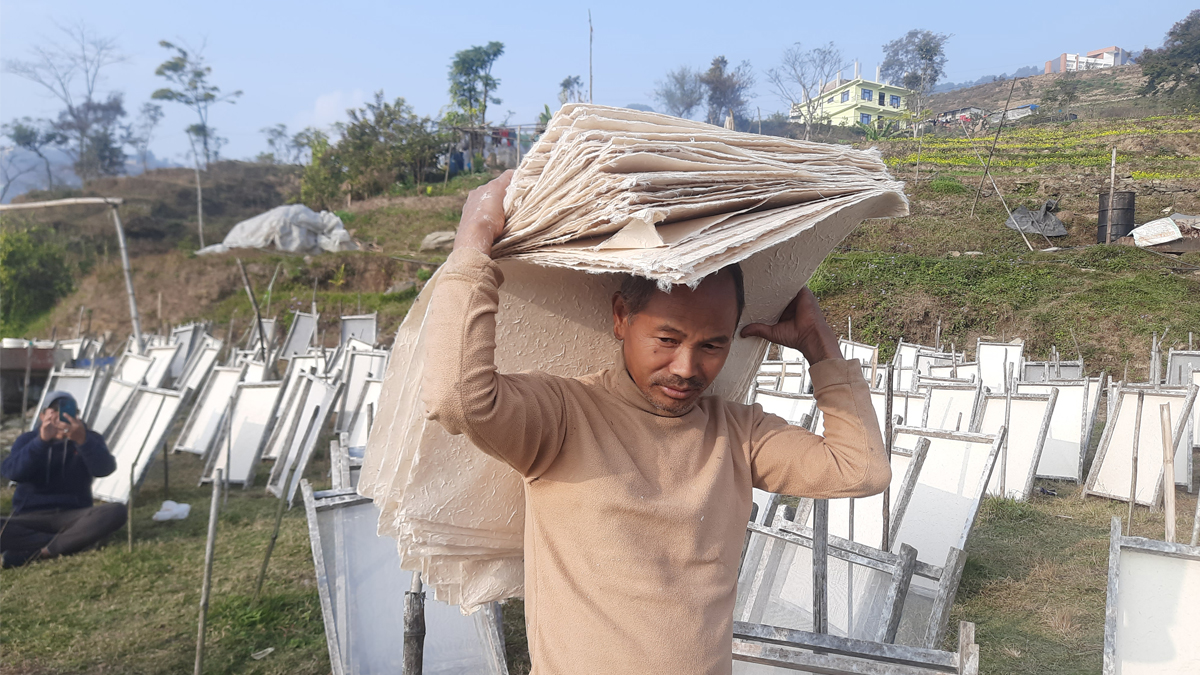 नेपाली कागज : माग धेरै, उत्पादन कम